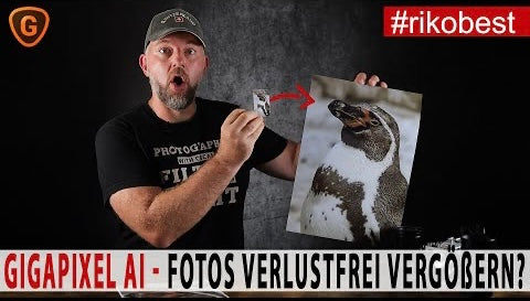 Fotos verlustfrei vergrößern -Gigapixel AI im Test
