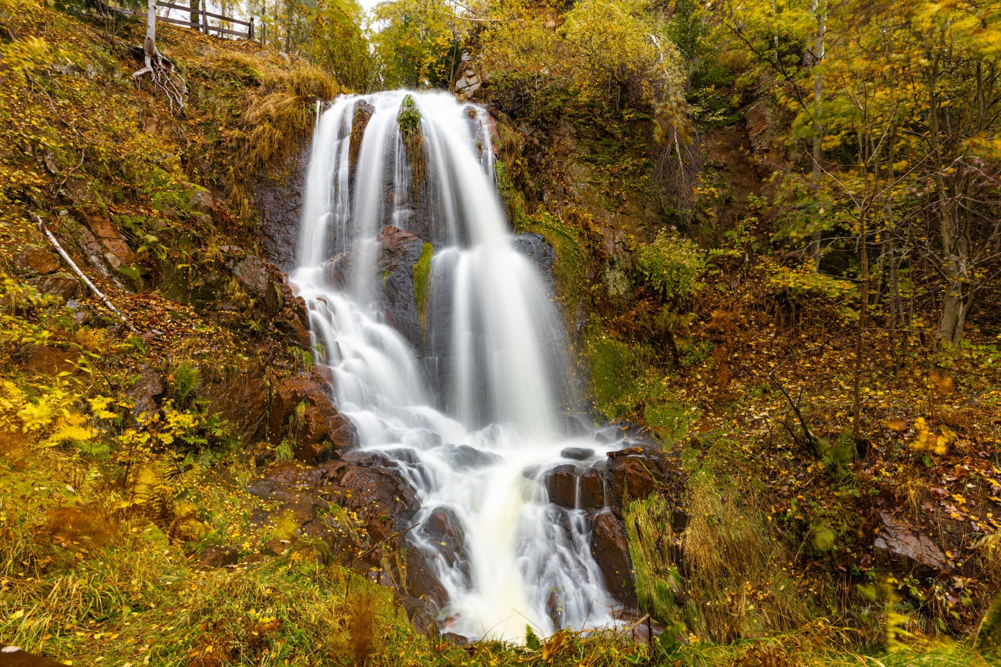Fotografie Workshop - 3 Tage intensiv Workshop - Sächsiche Schweiz - 17-19.10.2025 (inklusive Übernachtung)