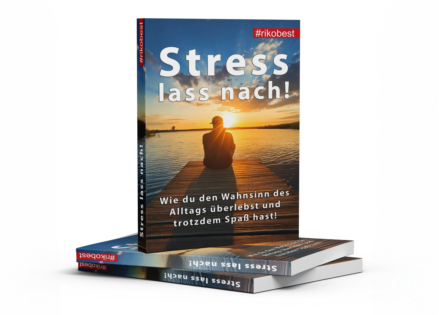 Stress lass nach! Wie du den Wahnsinn des Alltags überlebst und trotzdem Spaß hast – Riko Best