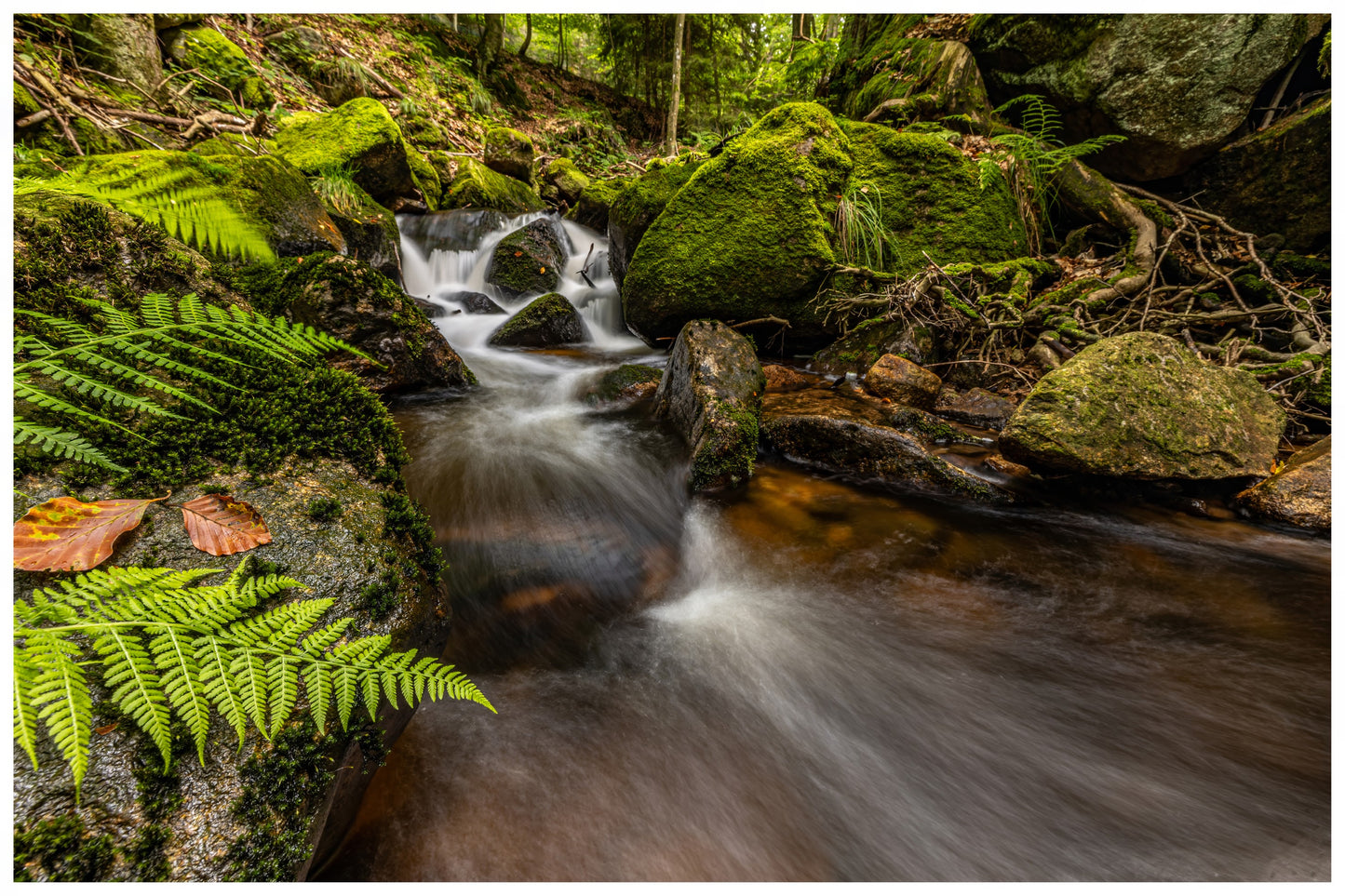 Landscape Photography Workshop Harz September 8th, 2024 - Day workshop - long exposure, optical filters, image design