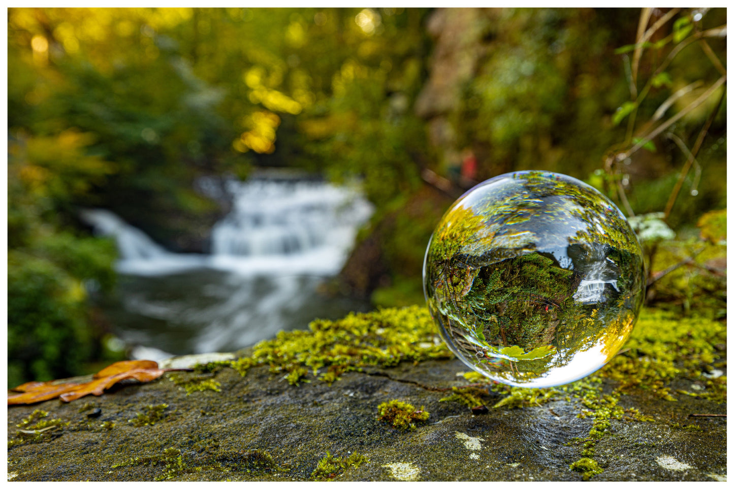 Fotografie Workshop - 3 Tage intensiv Workshop - Sächsiche Schweiz - 17-19.10.2025 (inklusive Übernachtung)