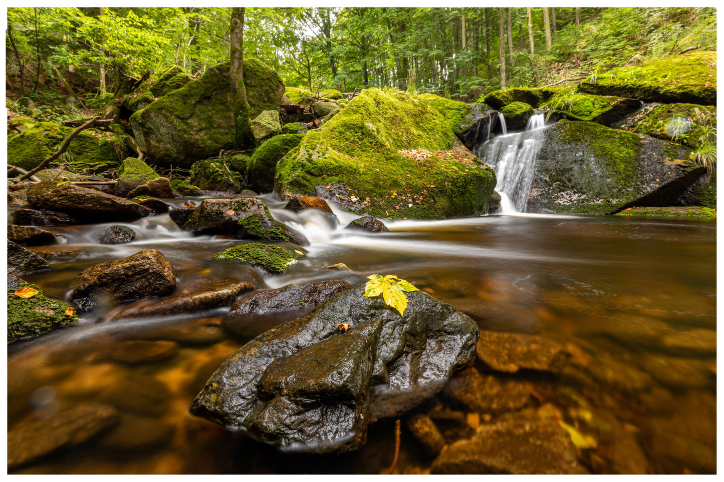 Landscape Photography Workshop Harz September 8th, 2024 - Day workshop - long exposure, optical filters, image design