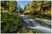 Lade das Bild in den Galerie-Viewer, Landschafts Fotografie Workshop Harz 07.09.2024 - Tagesworkshop - Langzeitbelichtung, optische Filter, Bildgestaltung
