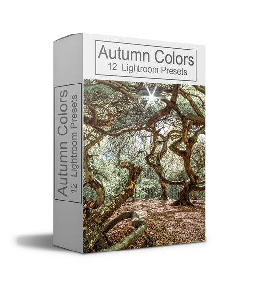Autumn Colors -12 Presets für Lightroom & Lightroom mobile