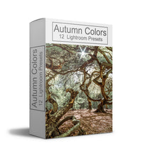 Lade das Bild in den Galerie-Viewer, Lightroom Bundle 71 Presets für Lightroom &amp; Lightroom mobile
